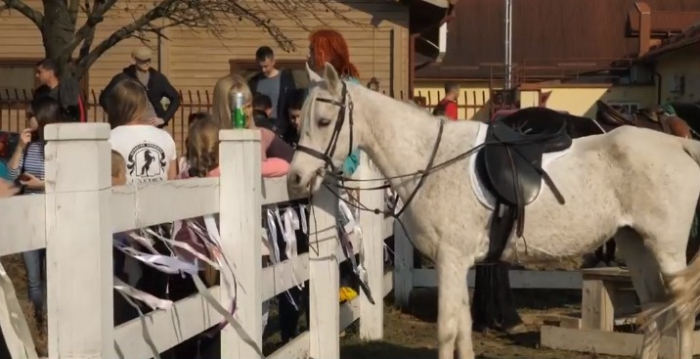 Іпотерапія та кінний спорт – на Ужгородщині провели День без ґаджетів