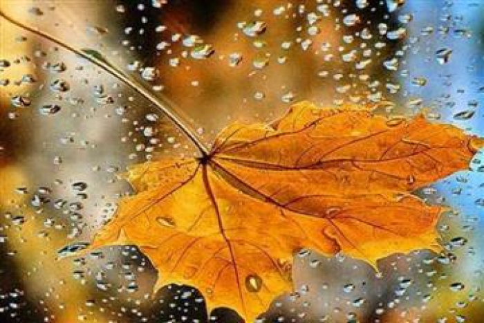 Прогноз погоди в Закарпатті на п'ятницю