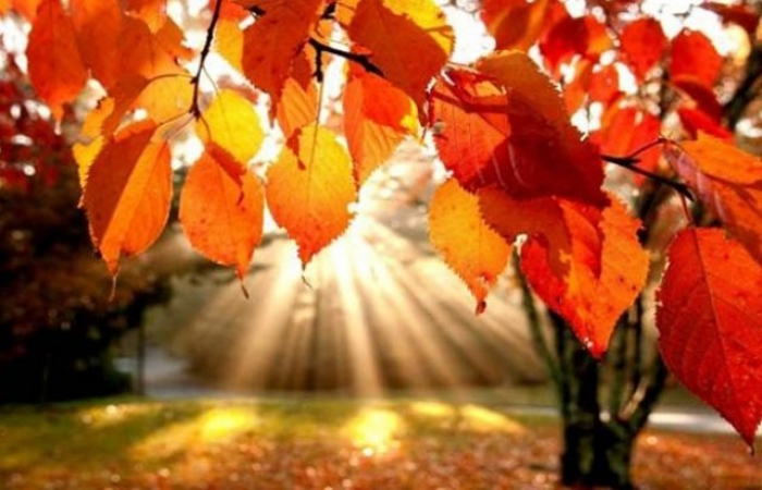 Прогноз погоди в Закарпатті на вихідні