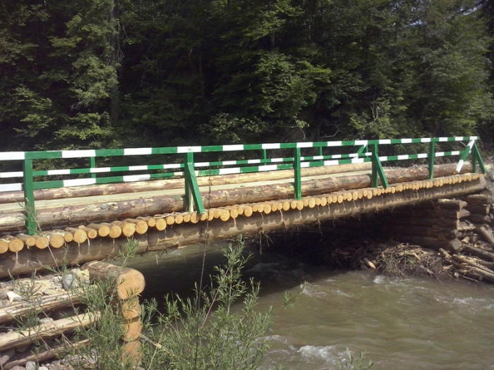 Як на Закарпатті лісівники прокладають "дороги життя" (ВІДЕО,ФОТО)