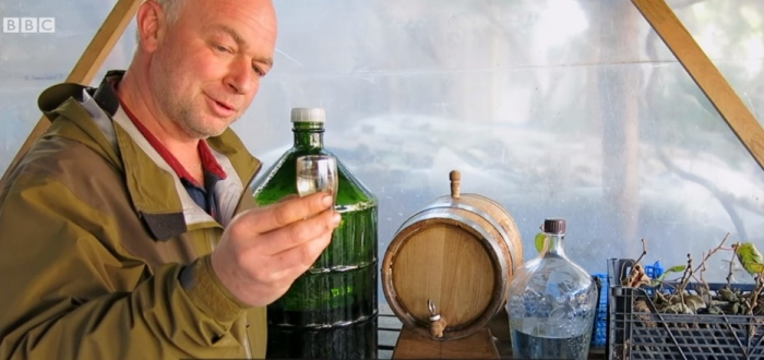 Ківовиця! Ківіскі! Cелекціонер в Ужгороді вивів морозостійкий сорт ківі і робить з нього алкоголь