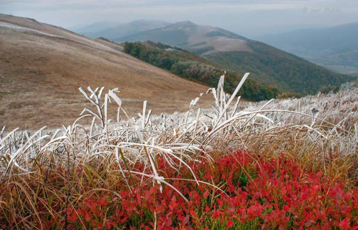 Прогноз погоди в Закарпатті на суботу