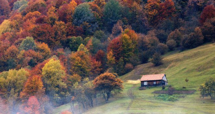 Які сюрпризи підготувала погода на третій тиждень листопада в Закарпатті