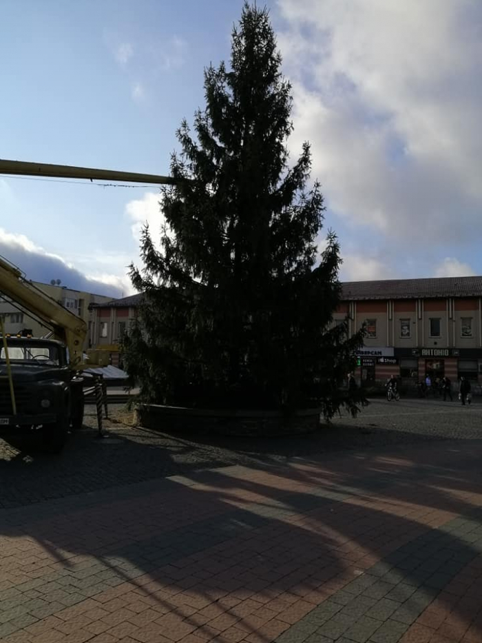 У Хусті встановили новорічну ялинку (ФОТО)