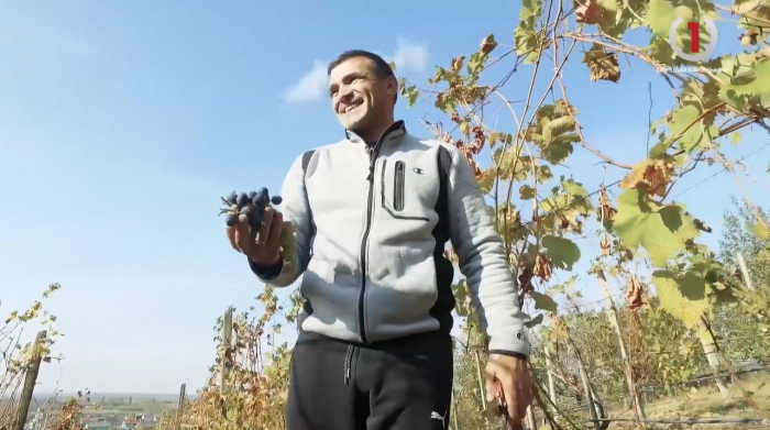 Закарпатський винороб розповів про секрети виробництва сонячного напою