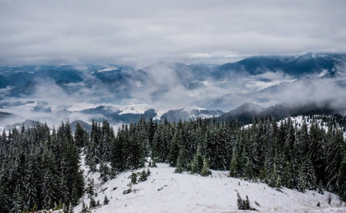 Від 2 до 7 морозу очікують у рівнинних районах Закарпаття