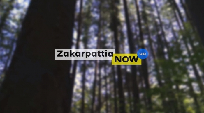 ВІДЕО дня: з’явився відеоролик, який презентуватиме Закарпаття потенційним інвесторам