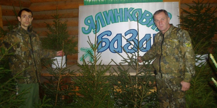 На Закарпатті триває ялинковий ярмарок