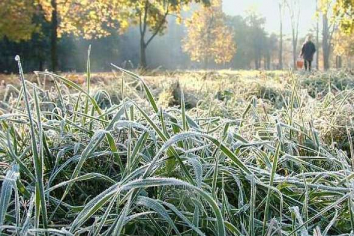 Прогноз погоди в Закарпатті на четвер