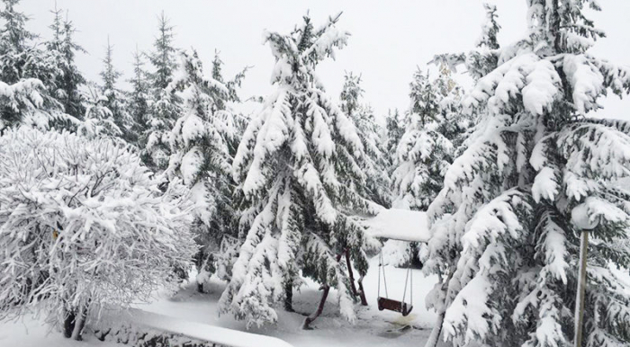 Прогноз погоди в Закарпатті на вівторок
