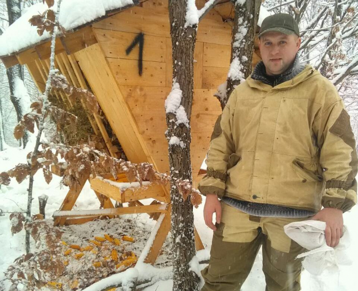 Диким тваринам на Закарпатті майже неможливо добути корми – великий сніговий покрив