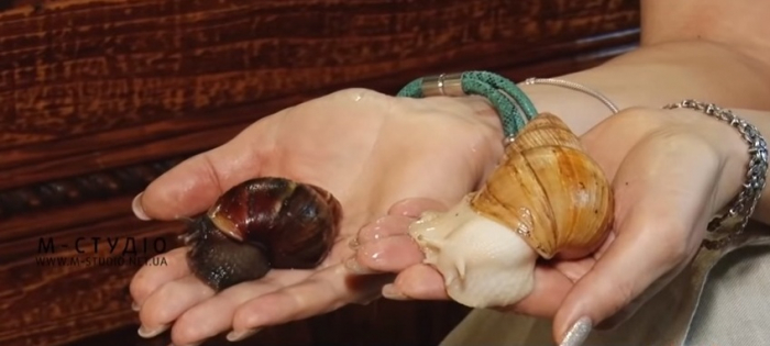 Особлива терапія: на Міжгірщині взялися лікувати людей... слимаками! (ВІДЕО)