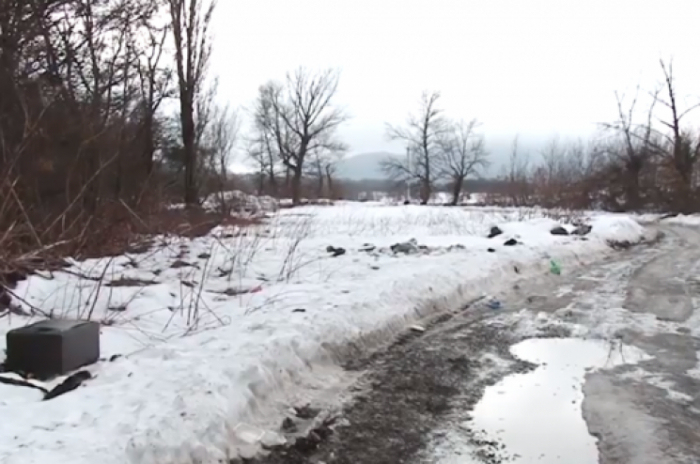 Лісосмуги вздовж трас на Виноградівщині перетворилися на сміттєзвалища (ВІДЕО)