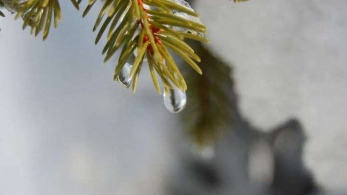 Погода змінюється: що прогнозують синоптики на вівторок?