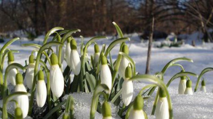 Якою буде погода всередині тижня на Закарпатті? 