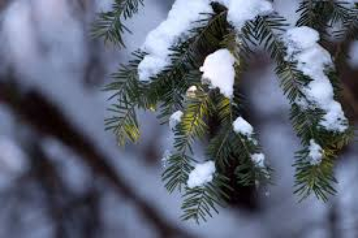Яким буде четвер? Прогноз погоди на Закарпатті