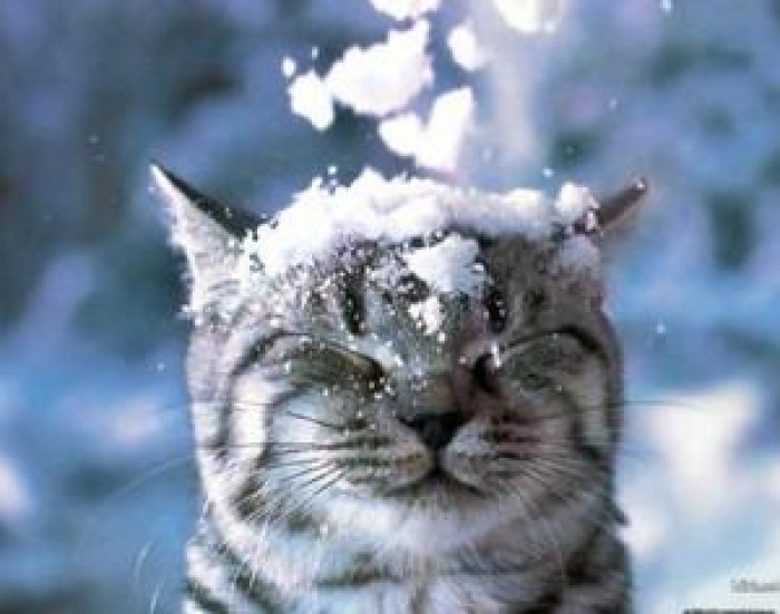 Чи відступає зима? Прогноз погоди на Закарпатті