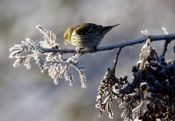 Прогноз погоди на Закарпатті: якою буде середа?