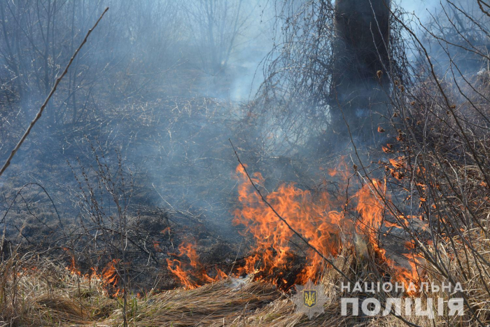 Що загрожує закарпатцям за спалення трави? 