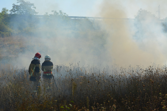 Закарпаття продовжує потерпати від спалювання сухостою