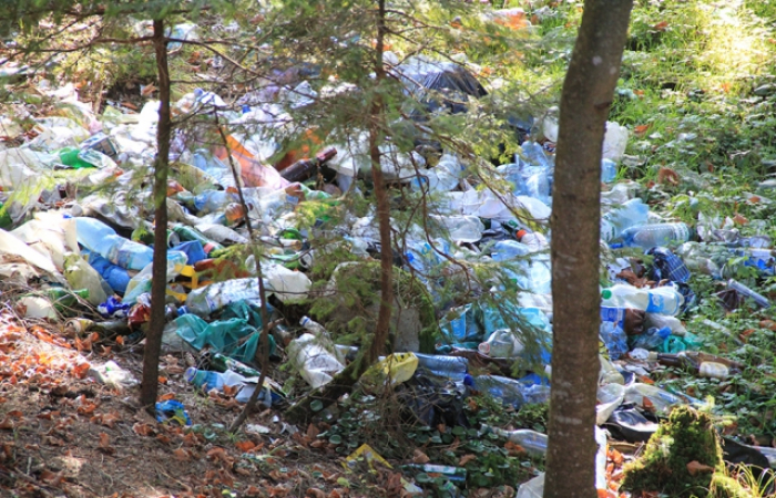 Закарпаття у смітті: чи є надія на очищення? (ВІДЕО)