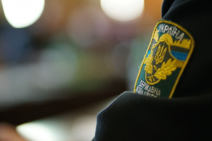 Лісове браконьєрство на Закарпатті: оприлюднено суму збитків