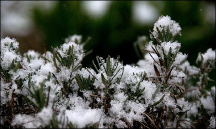 Не поспішайте ховати теплі речі! Закарпатські синоптики прогнозують похолодання