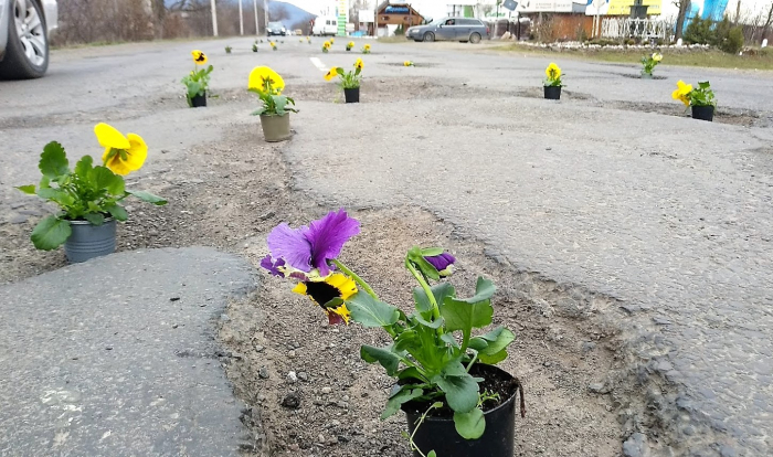 "Озеленення" по-закарпатськи: у Виноградові дороги стали більш естетичними (ФОТО)
