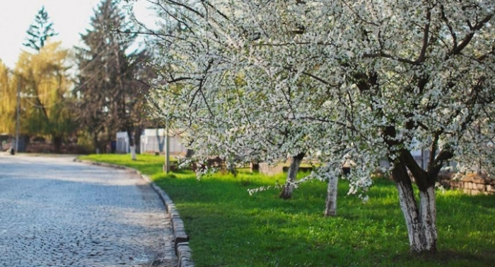 Прогноз погоди на Закарпатті на суботу