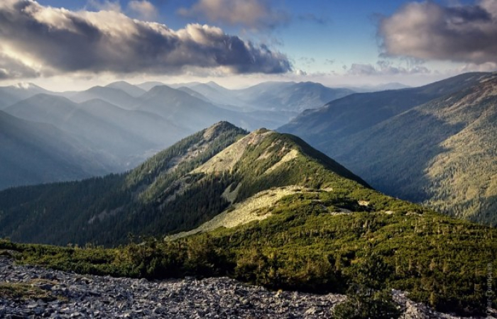 Порахували: Закарпаття має більшу площу заповідників, ніж європейські держави