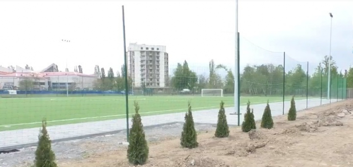 Зловмисників, які вкрали зі стадіону «Авангард» нещодавно посаджені туї, шукає поліція