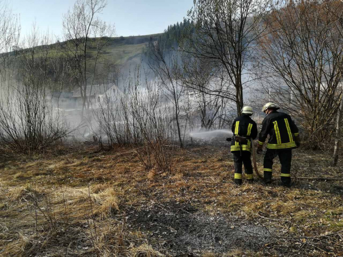 Доба на Закарпатті: зареєстровано 13 пожеж в екосистемах
