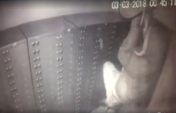 Пограбування банку в Мукачеві: поліція досі шукає грабіжників (ВІДЕО)