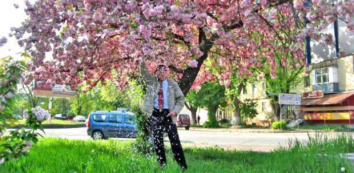 Понад 20 тисяч туристів приїдуть на Закарпаття на цвітіння сакур