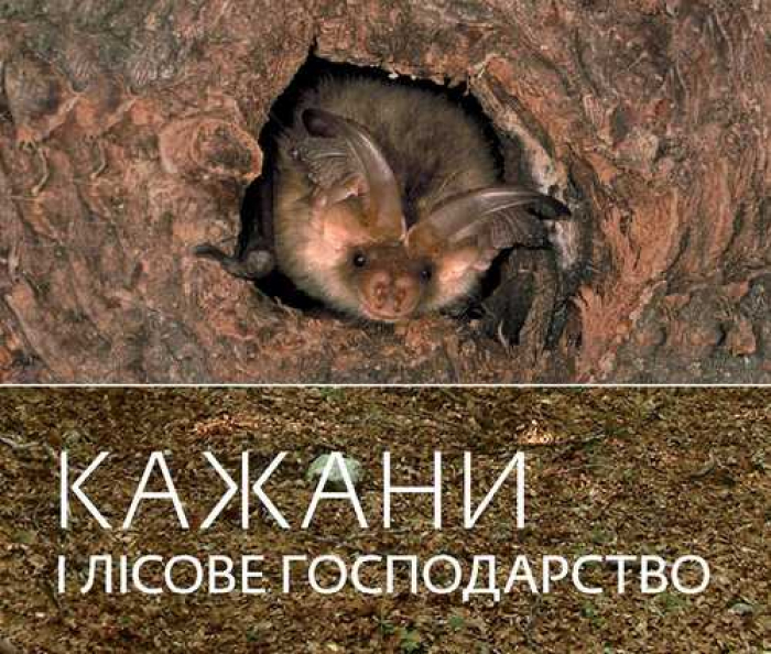 Закарпатців закликають охороняти... кажанів
