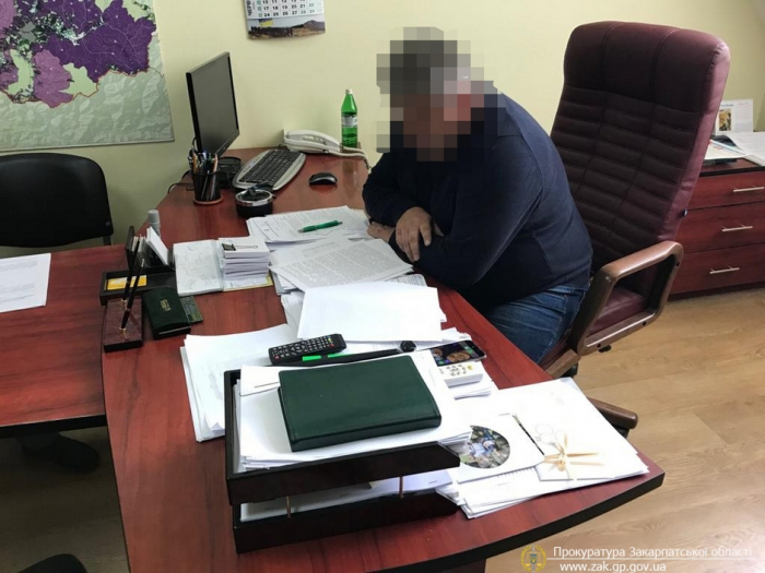 Вирубка лісу на Ужгородщині – заподіяно шкоди і лісу, і бюджету на понад 2,6 млн гривень