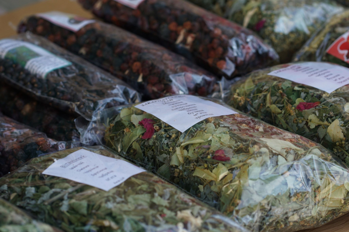 Ліси Закарпаття – це ще й майданчик для еко-заробітку