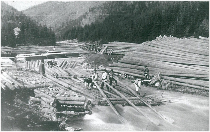 Гуцульські каскадери: як у Карпатах сплавляли ліс по річках (ВІДЕО)