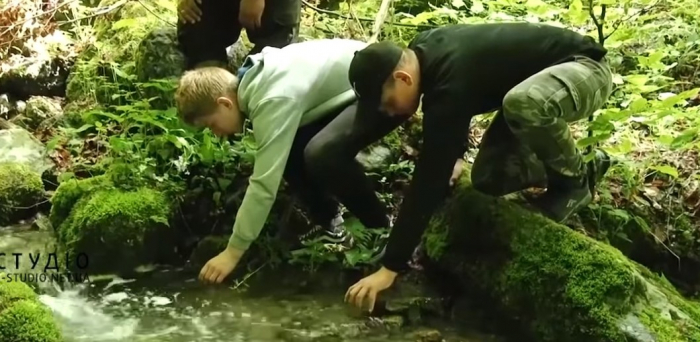 Понад 70 тисяч мальків форелі струмкової запустили в гірські річки та потічки Закарпаття (ВІДЕО)