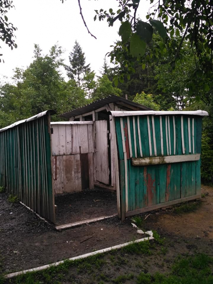 Шкільний жах: батьки показали, які туалети в Худлівському навчальному закладі (ФОТО, ВІДЕО)