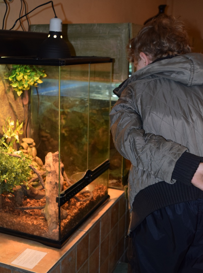 Просто в центрі Ужгорода триває незвична виставка (ВІДЕО)