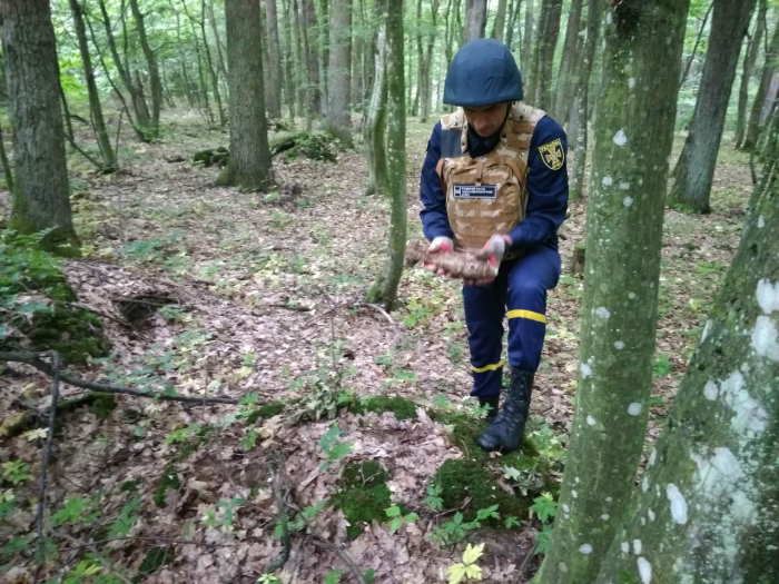 Замість грибів... міна! На Закарпатті в лісі виявили небезпечну знахідку