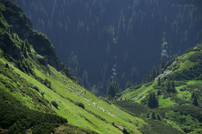 Прогноз погоди на Закарпатті: якими будуть вихідні