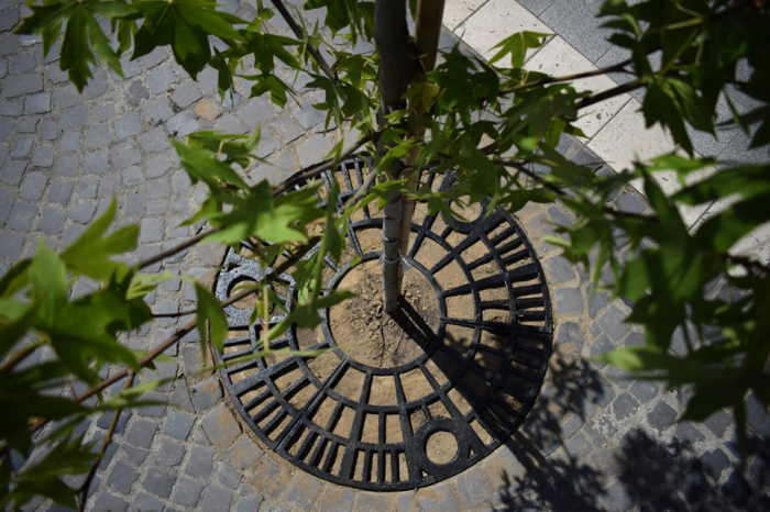 На Петефі встановили чавунні решітки навколо дерев 