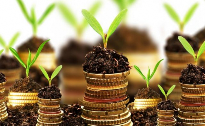 Володієте земельною діянкою? Тоді беріть на замітку: просто і зрозуміло про податок на землю (ВІДЕО)