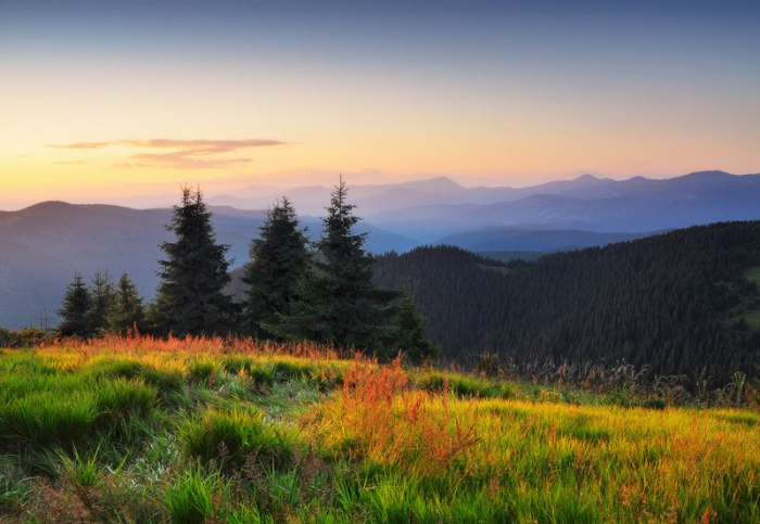 Менше дощів та більше тепла: що обіцяє погода закарпатцям цього тижня