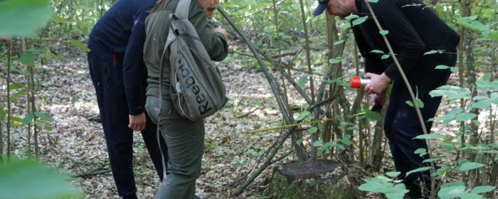 Законна рубка? На Ужгородщині знову рахують пні (ВІДЕО)