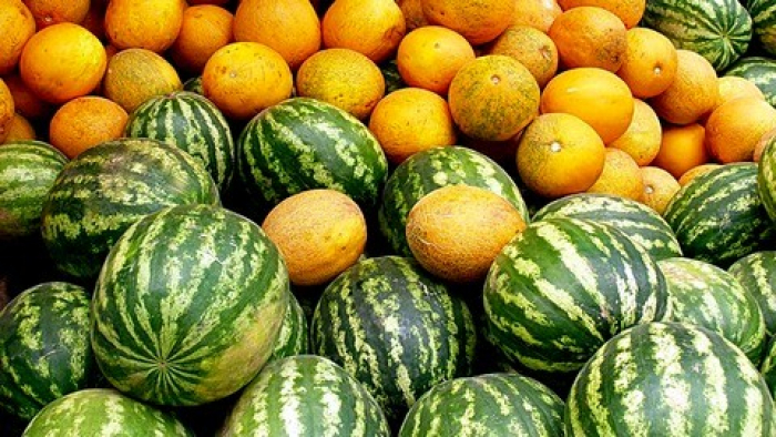 Кавуни – на першому місці, дині – на другому! Закарпатці розповіли про улюблені літні смаколики