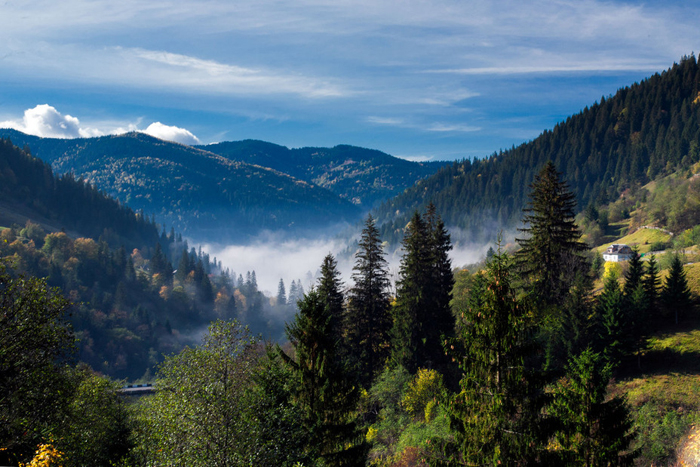 Прогноз погоди в Закарпатті на четвер 