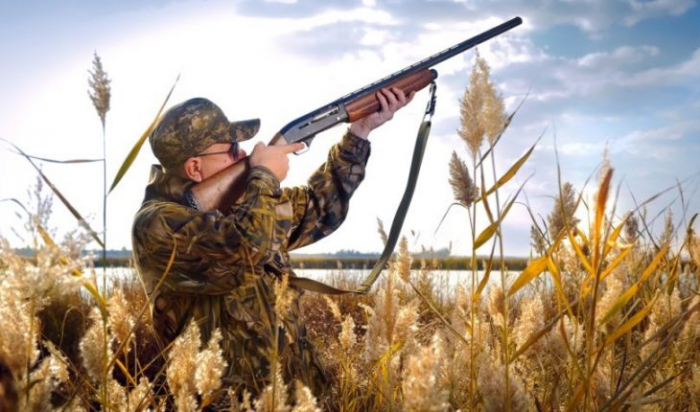 Незабаром на Закарпатті – відкриття сезону полювання на пернату дичину